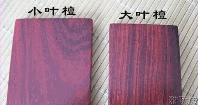 大叶紫檀与小叶紫檀对比