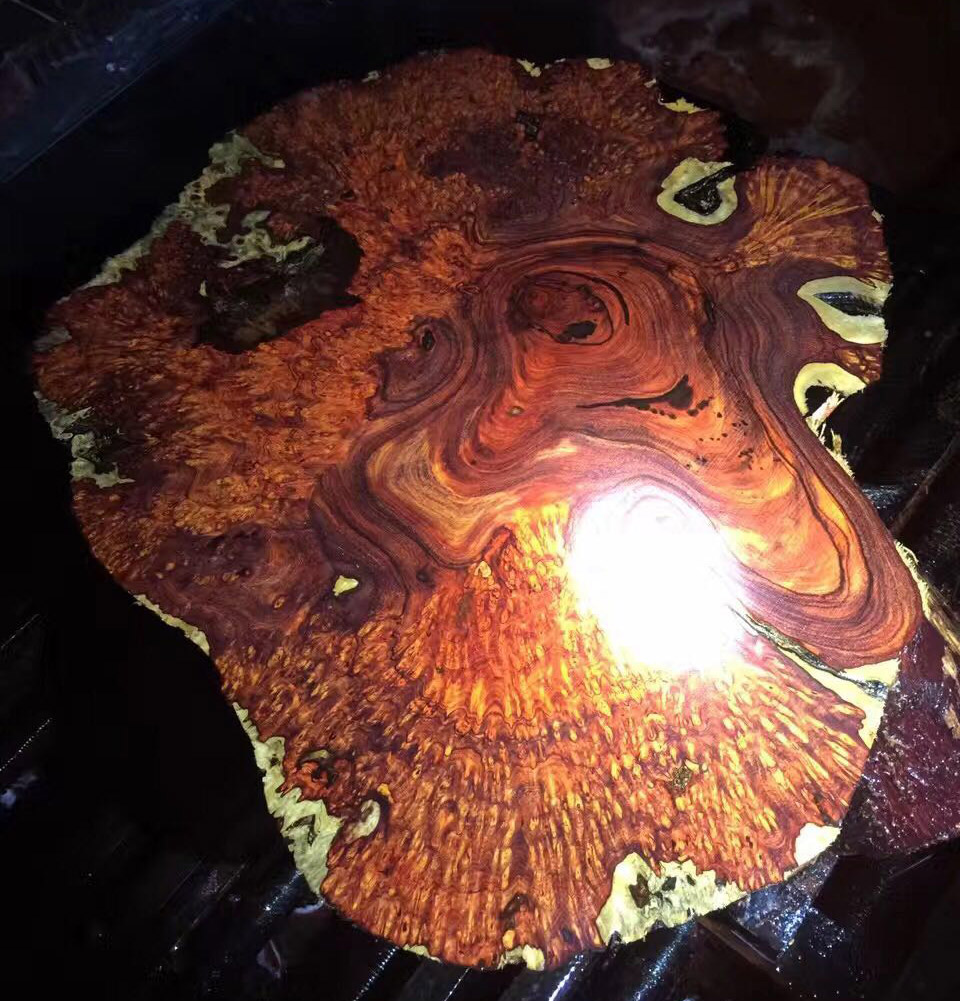 瘤疤切片3