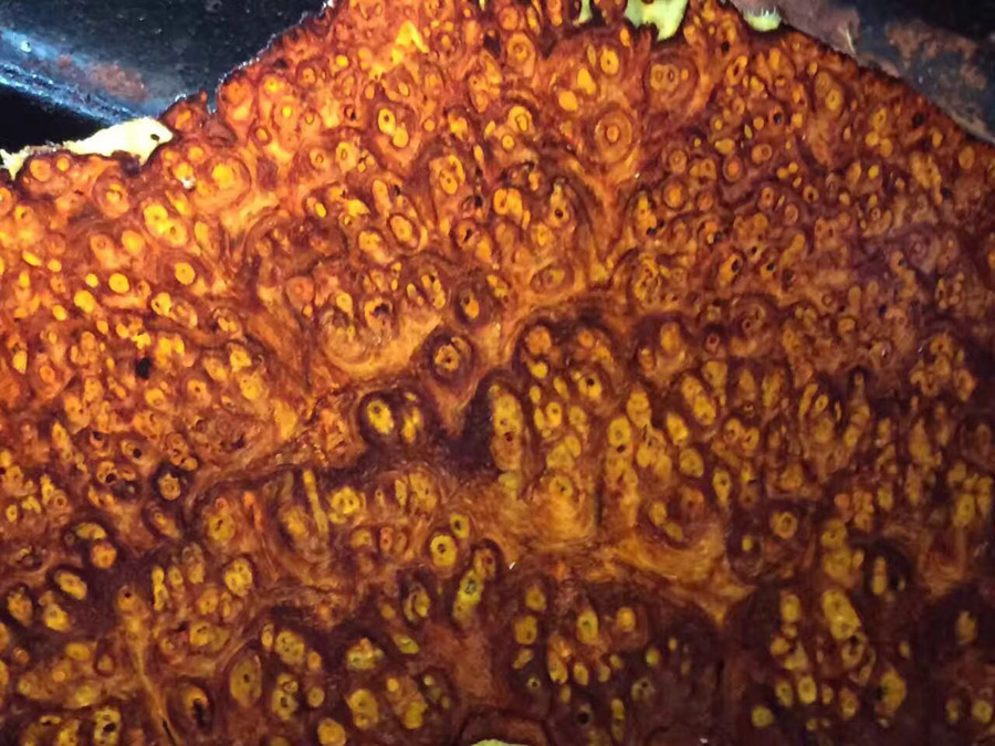 瘤疤切片2