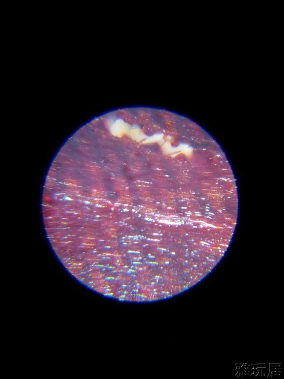 无法造假的金星