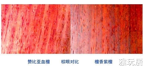 赞比亚血檀跟紫檀的棕眼对比